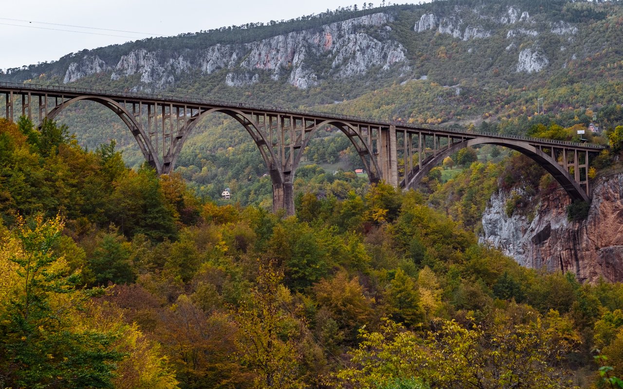 Moyie Springs | Neighborhood Guide
