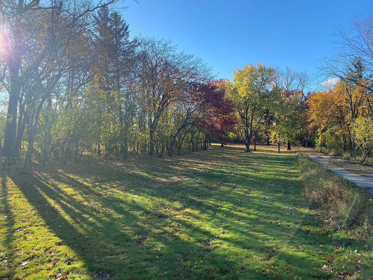 8401 S County Line Rd