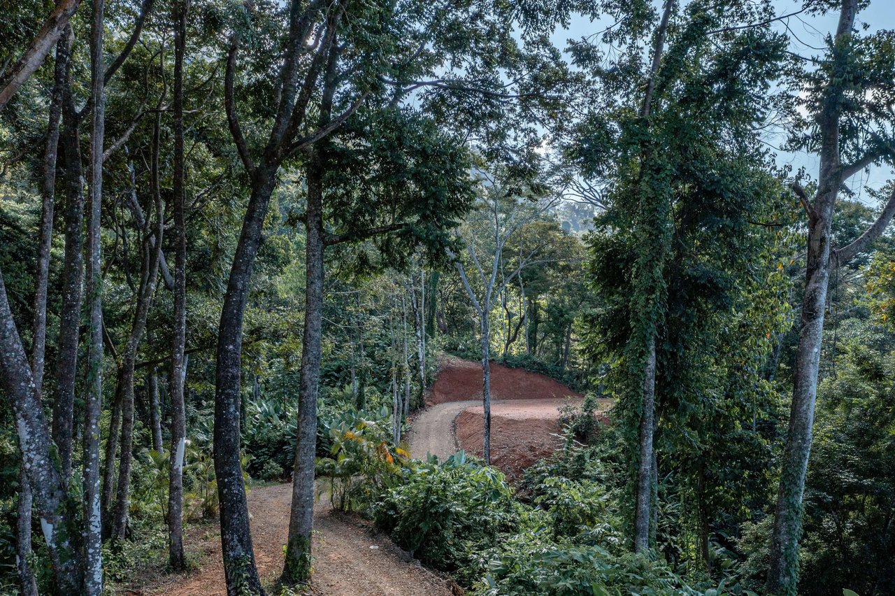 Secluded Ocean view Land in Dominical, Costa Rica