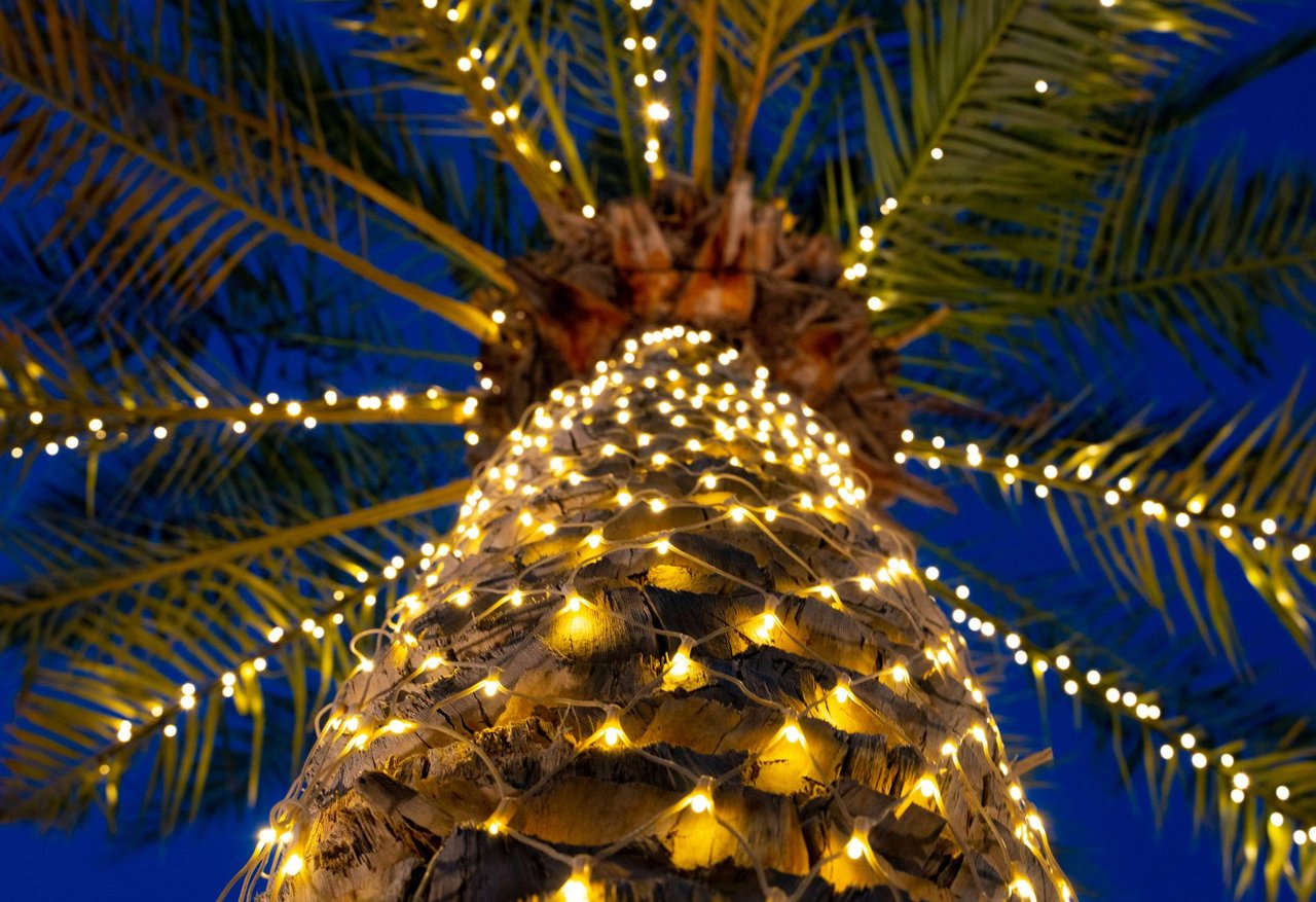 Holiday Events Across the Desert: December Guide 2025