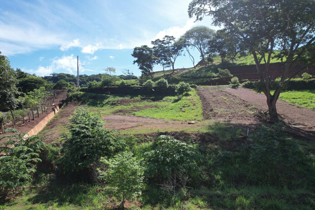 Alma Verde Lot #21 | Prime 846 m² Lot in Alma Verde – Gated Community Just Minutes from Tamarindo & Playa Flamingo