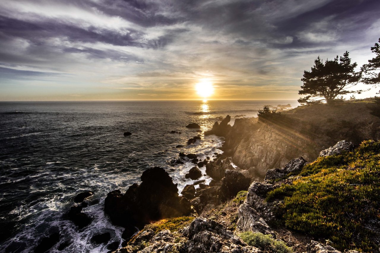 Where to Go Whale Watching on the Sonoma Coast