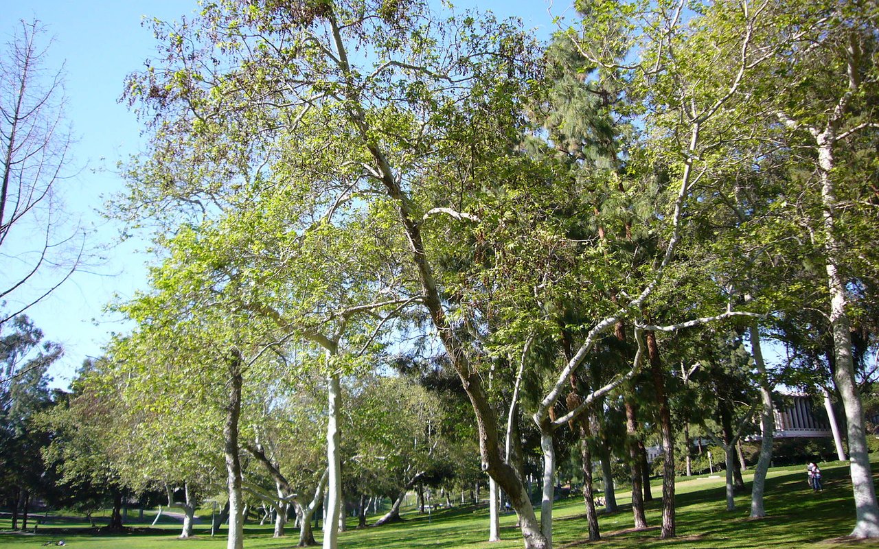 Irvine