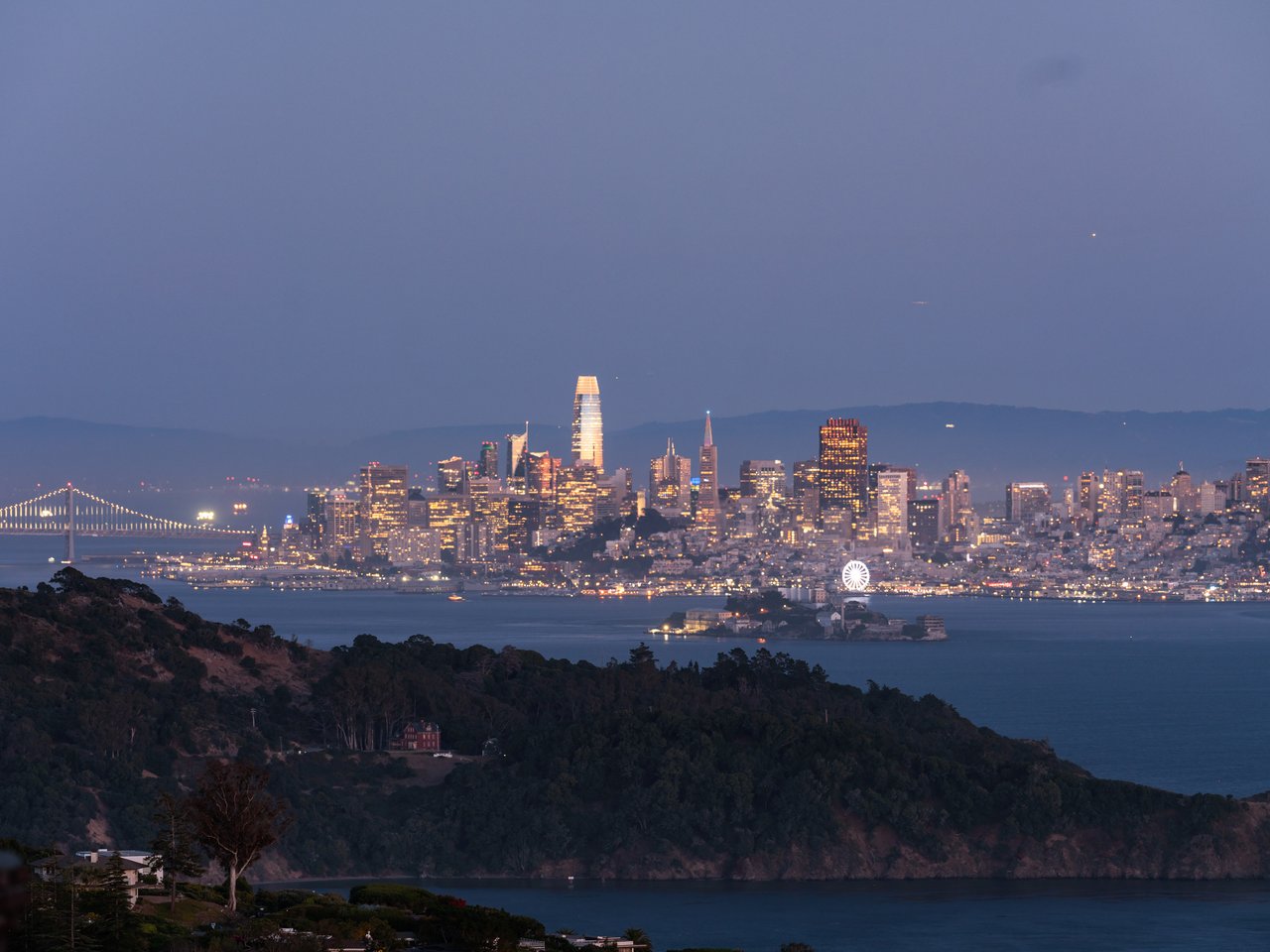 Tiburon
