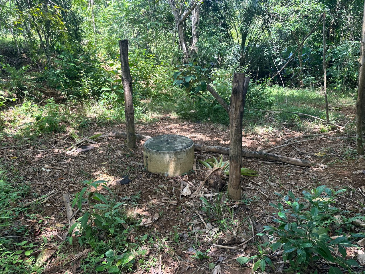 8.78 Acres Mountain View Estate with Water, Infrastructure & Endless Development Potential | Platanillo de Barú, Costa Rica