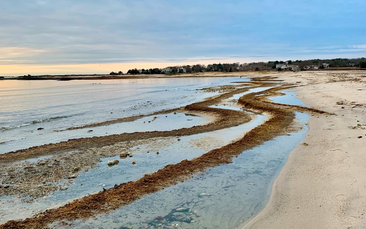 Barnstable