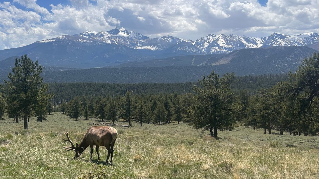 Where the Road Meets the Sky: Driving Trail Ridge Road