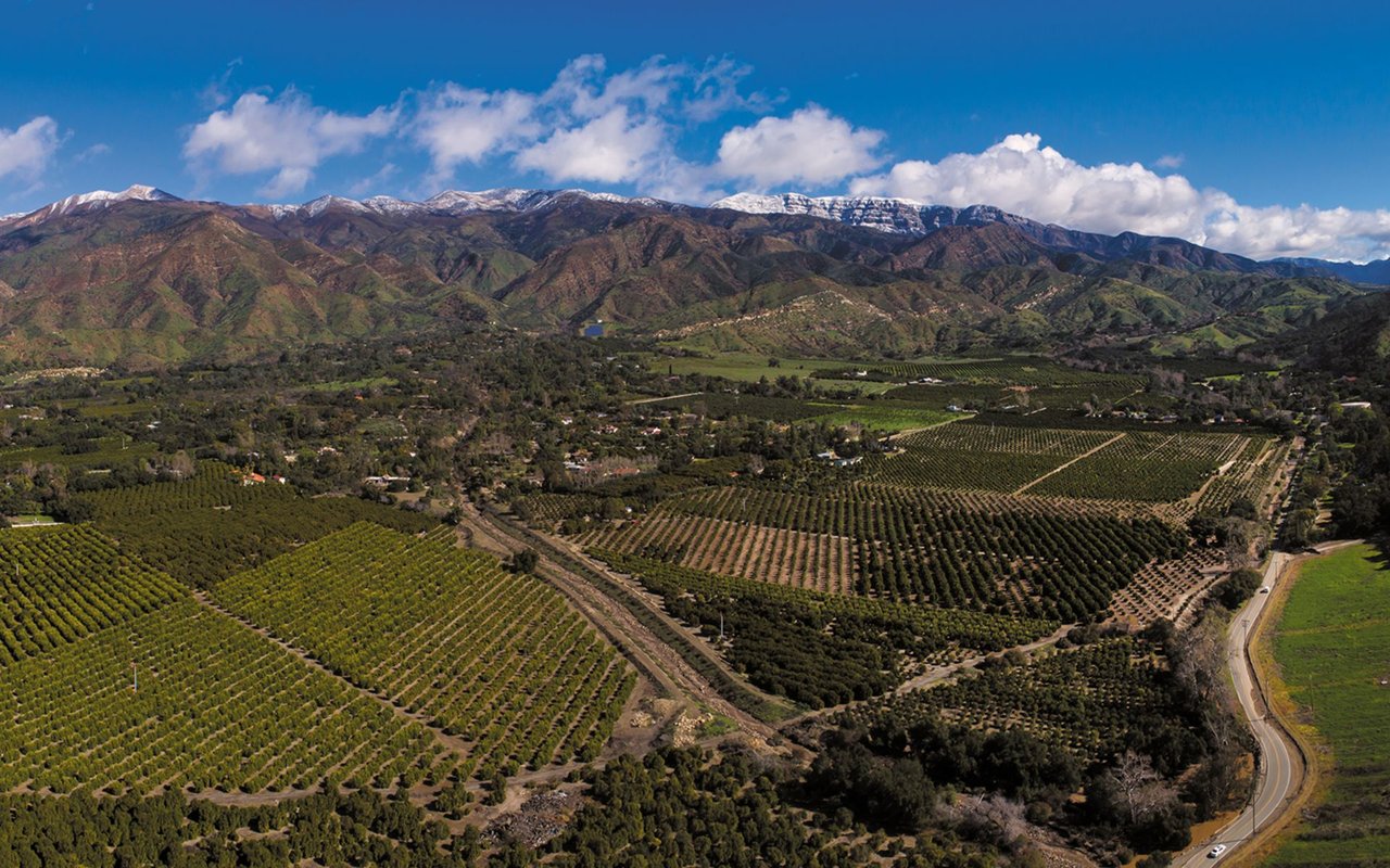 Ojai
