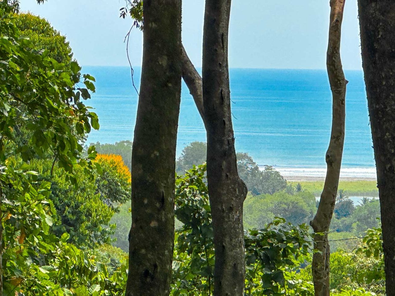 23-Acre Prime Highway Frontage Lot Near Ojochal & Ocean