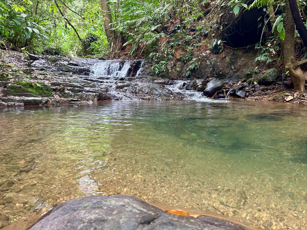 Selva Vista Estate – 5.9 Acres of Wild Beauty