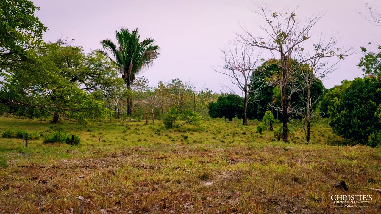 Blossom Hill Parcel in Santa Teresa