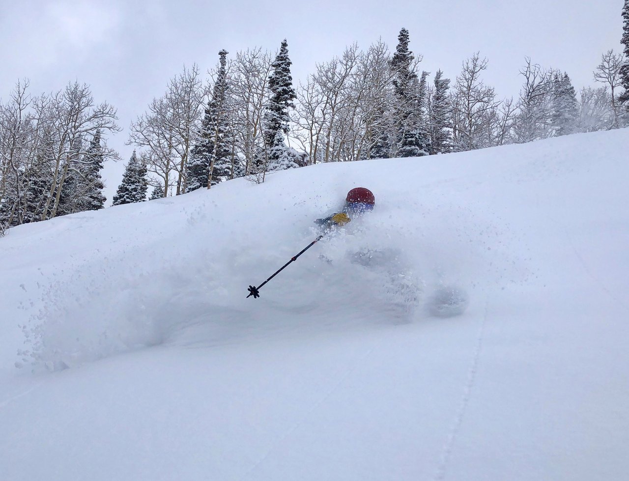 skier in powder at deer valley