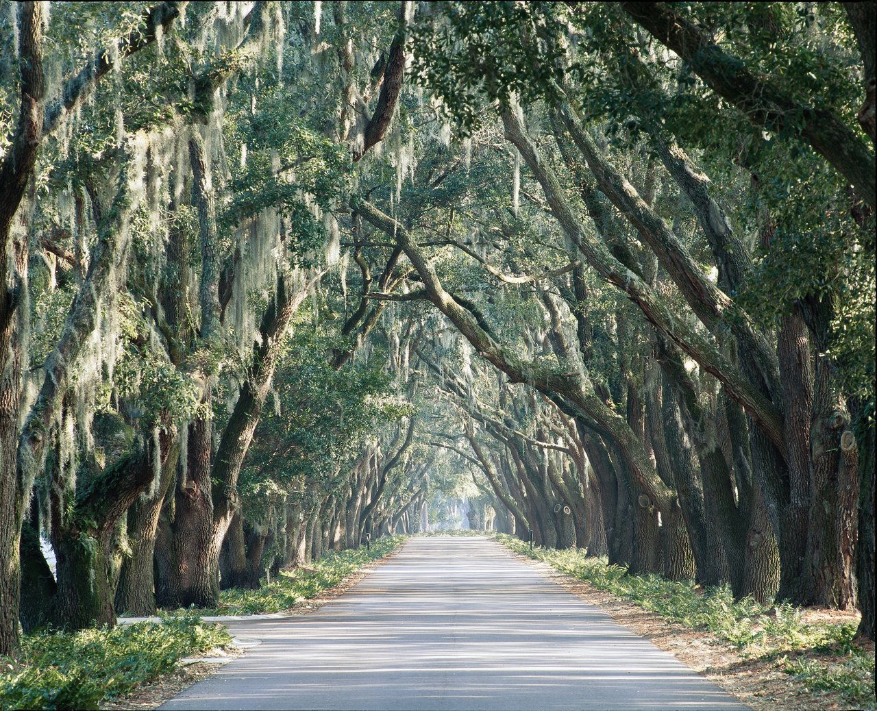 Key Questions to Ask During an Open House in Belfair, SC