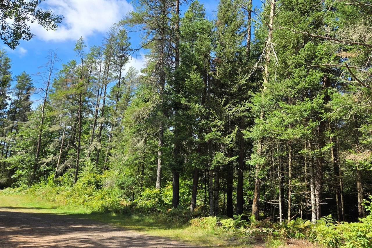 Lot 87 Oak Court