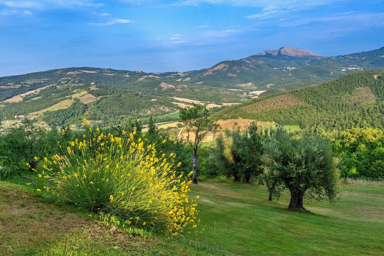 Wide Estate Composed of Houses and Amenities