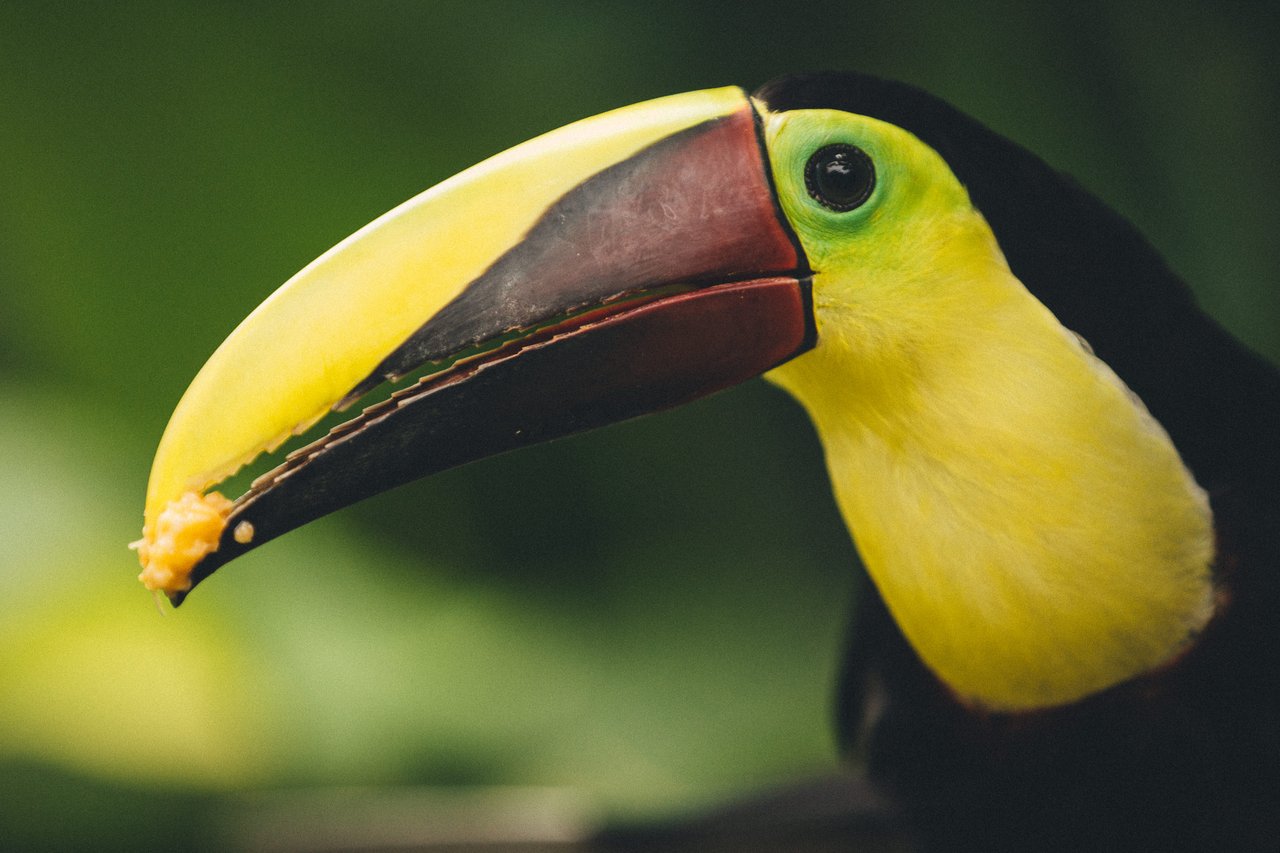  Punta Sabana & Mar Serena