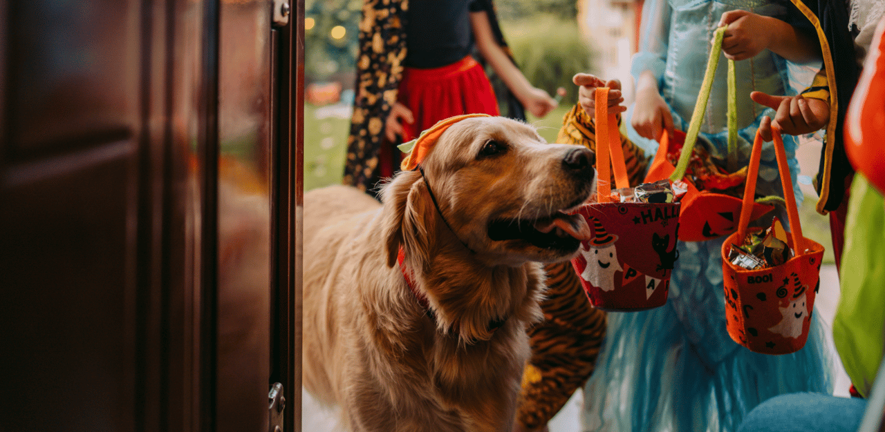 October Events in Napa Valley