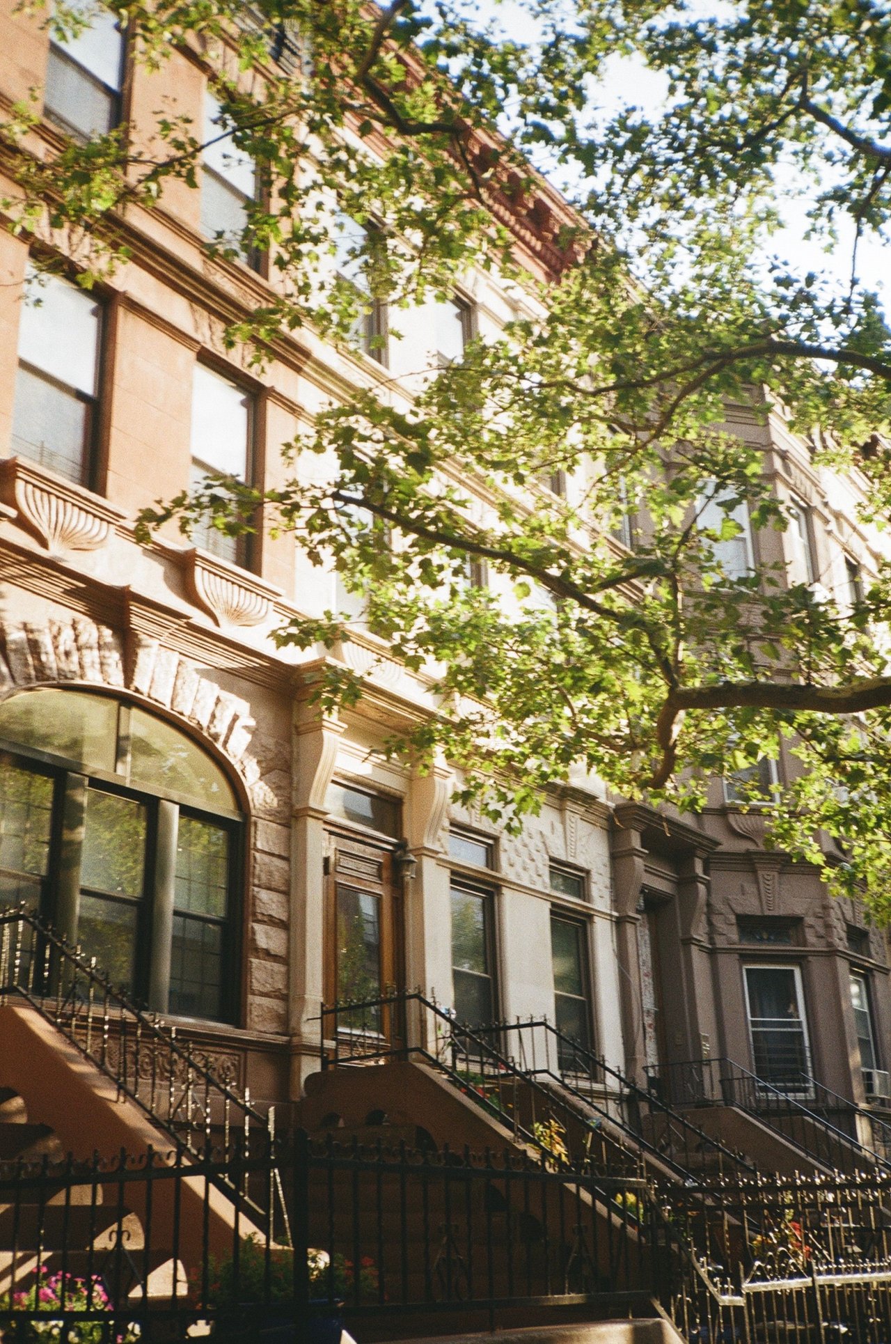 Historic brownstones, elegant townhouses, tree-lined blocks, and boutique condominiums along Clinton Street in Carroll Gardens, Brooklyn.