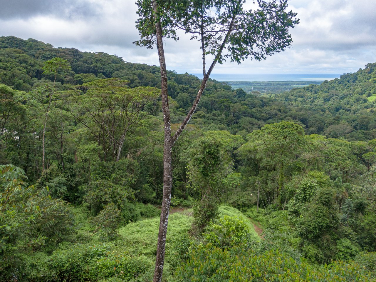 Beautiful 2 Acre Ocean View Lot inset into nature