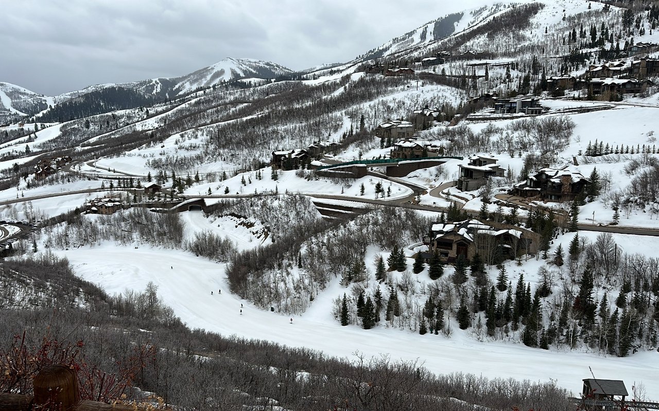 Deer Crest