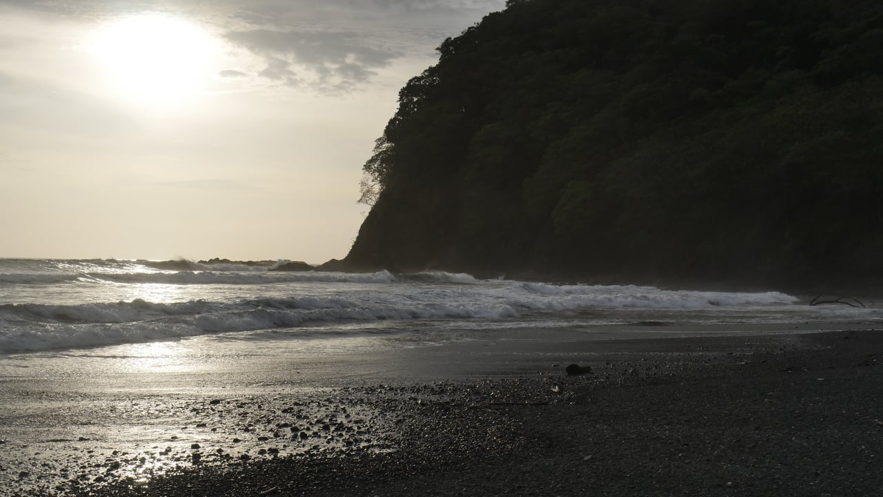 Corozalito Blue Reserve 