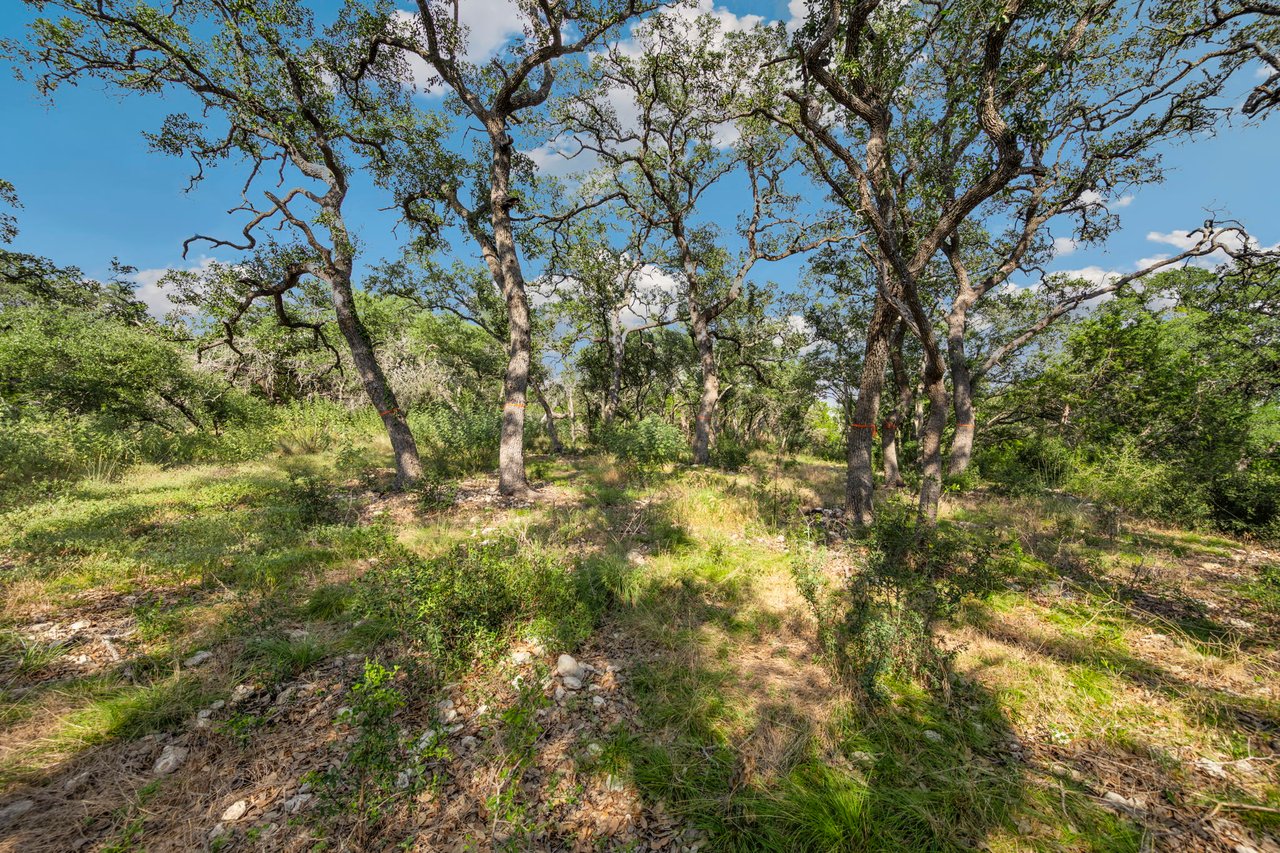 Wooded lot with mature trees in New Braunfels Texas Hill Country