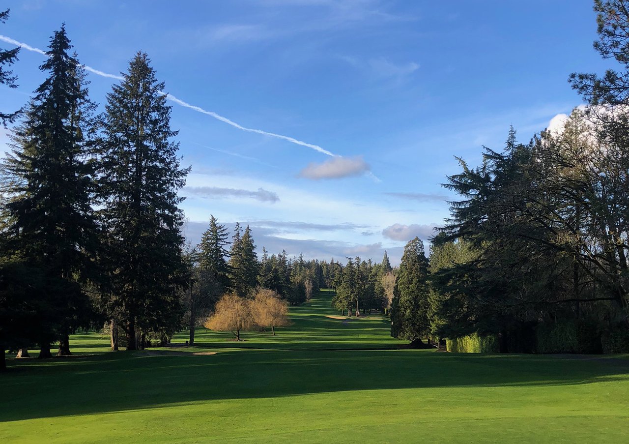 Ode to a Douglas Fir