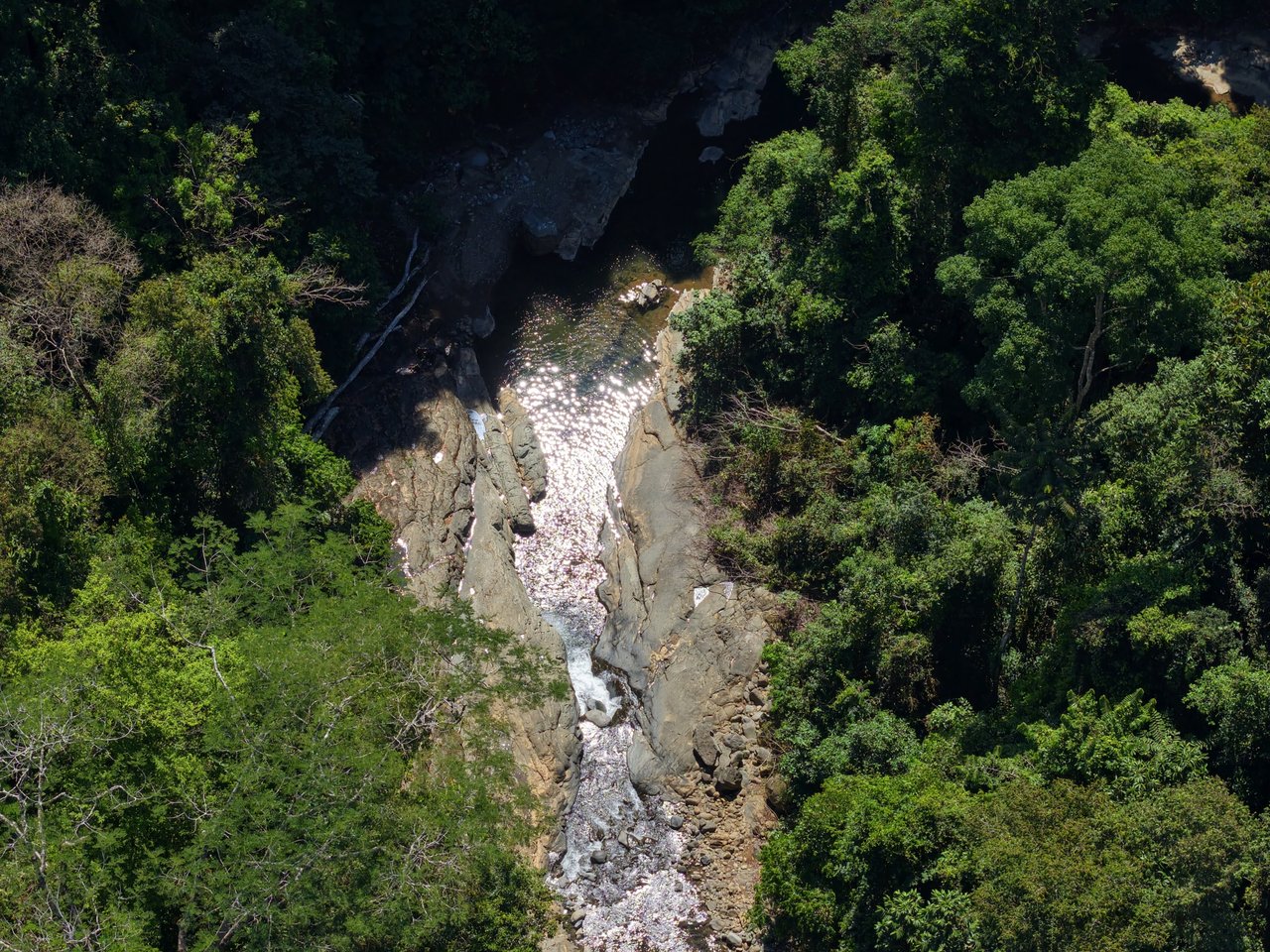 FINCA SAN JOSECITO | Prime 20-Hectare Ocean View Property for Sale in Uvita, Costa Rica