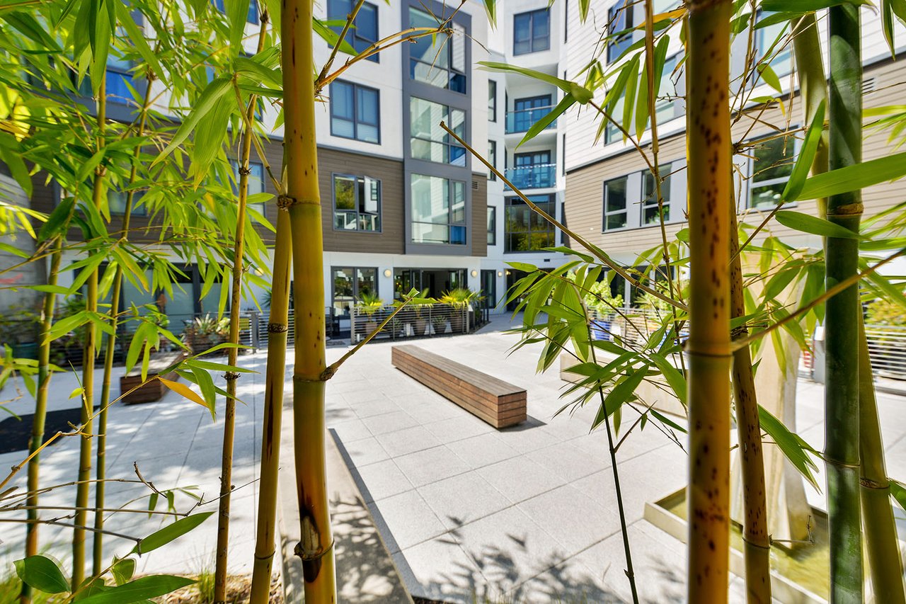 Not your typical San Francisco condo. A one-of-a-kind Mission District home is about to hit the market