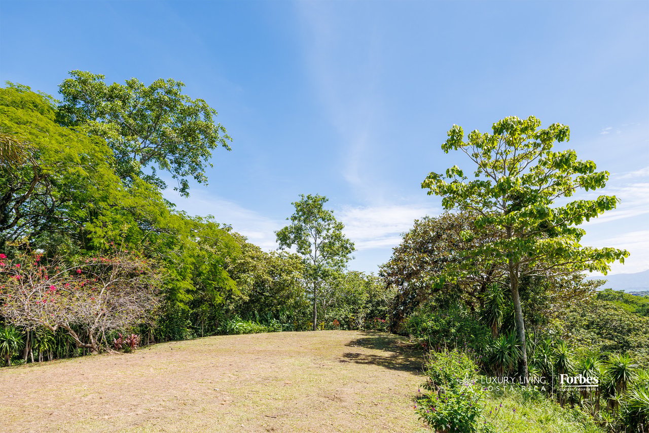 Cleared grassy area bordered by mature trees and tropical landscaping.