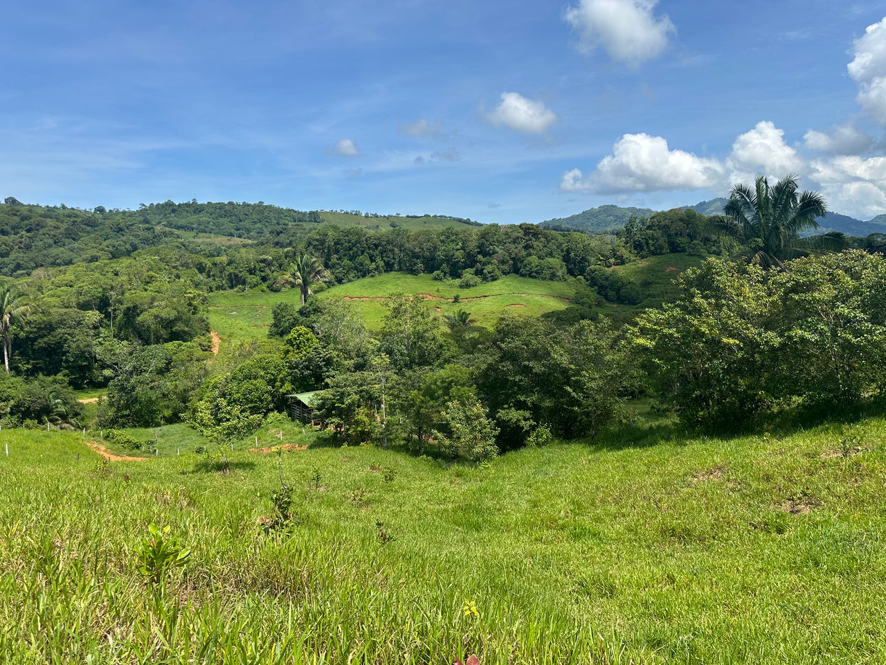 8.78 Acres Mountain View Estate with Water, Infrastructure & Endless Development Potential | Platanillo de Barú, Costa Rica