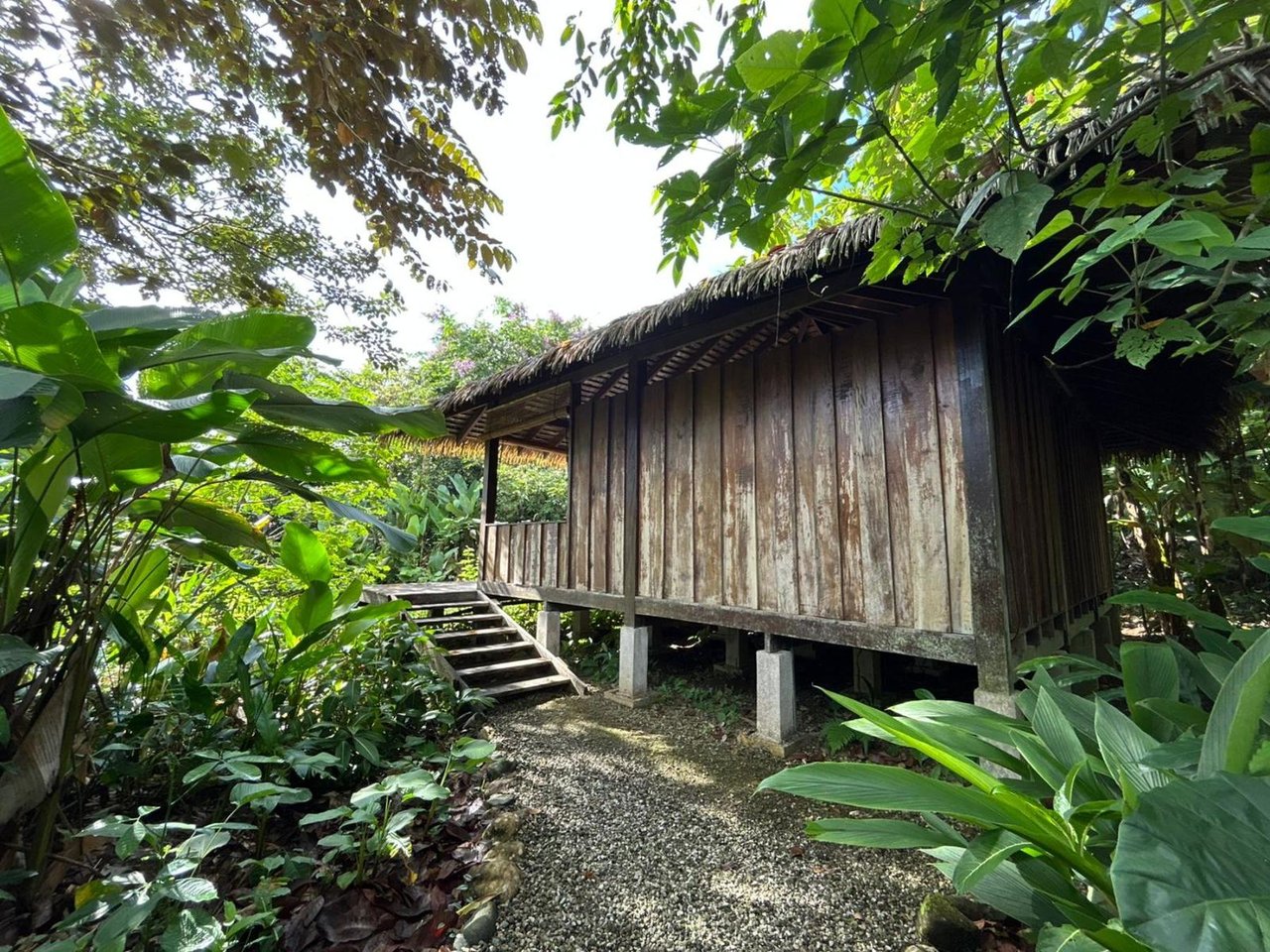 Sustainable Conservation Retreat, Osa, Puntarenas