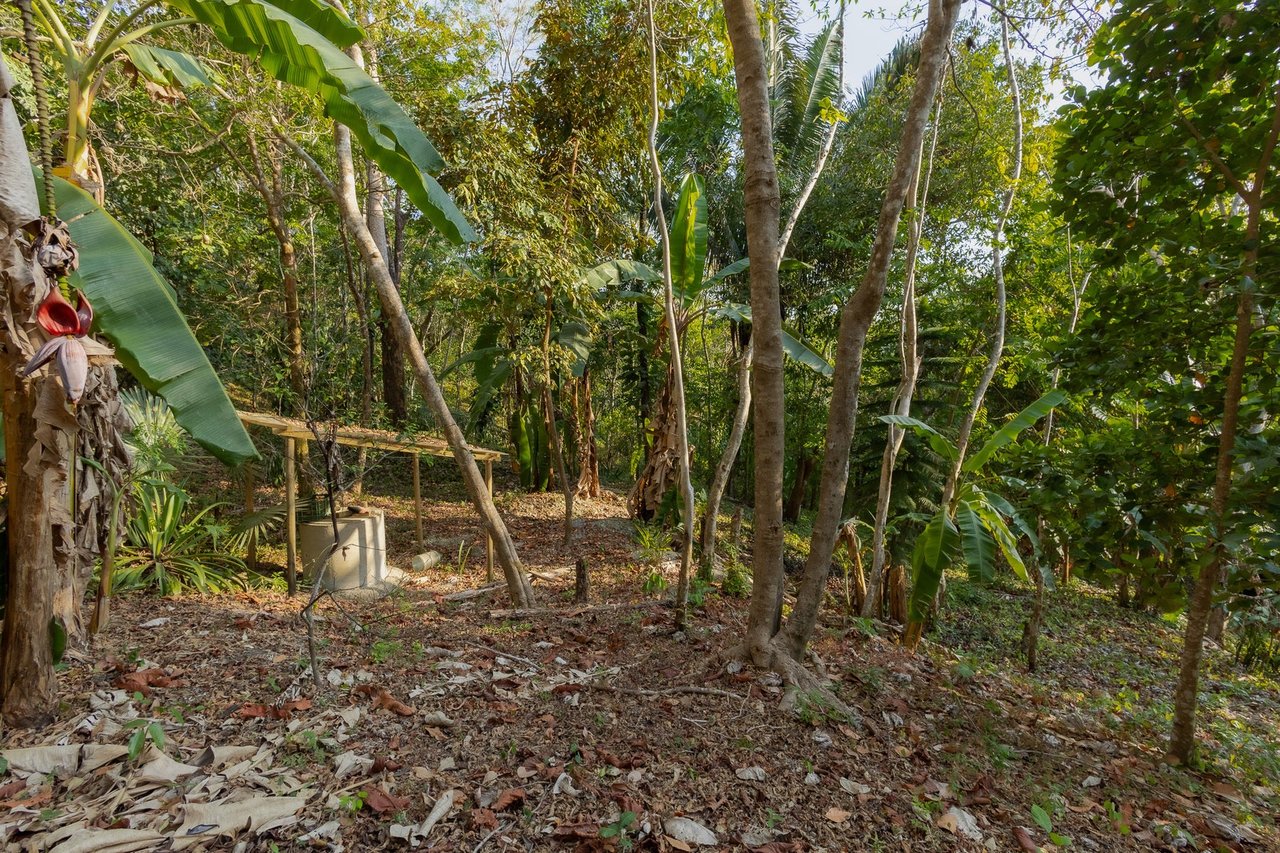 Exclusive Ocean View Development Homesite, Santa Teresa, Puntarenas