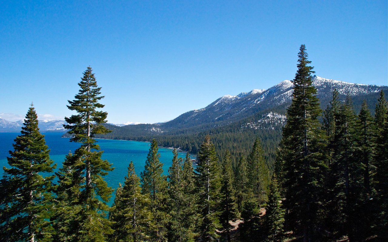 Lake Tahoe’s turquoise water and forested shoreline, with snow-dusted mountains in the distance.