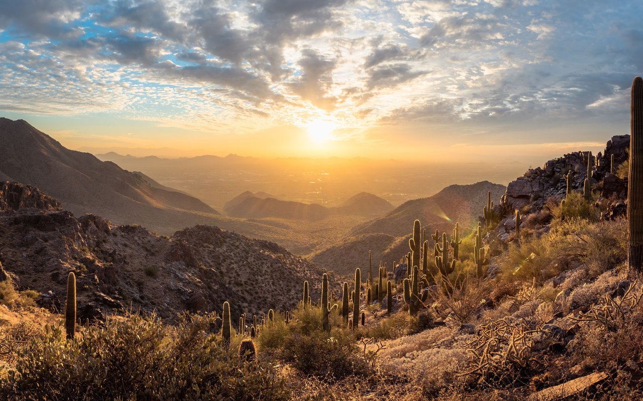 Sonoran Desert mountains and saguaro cacti at sunset beneath dramatic clouds.