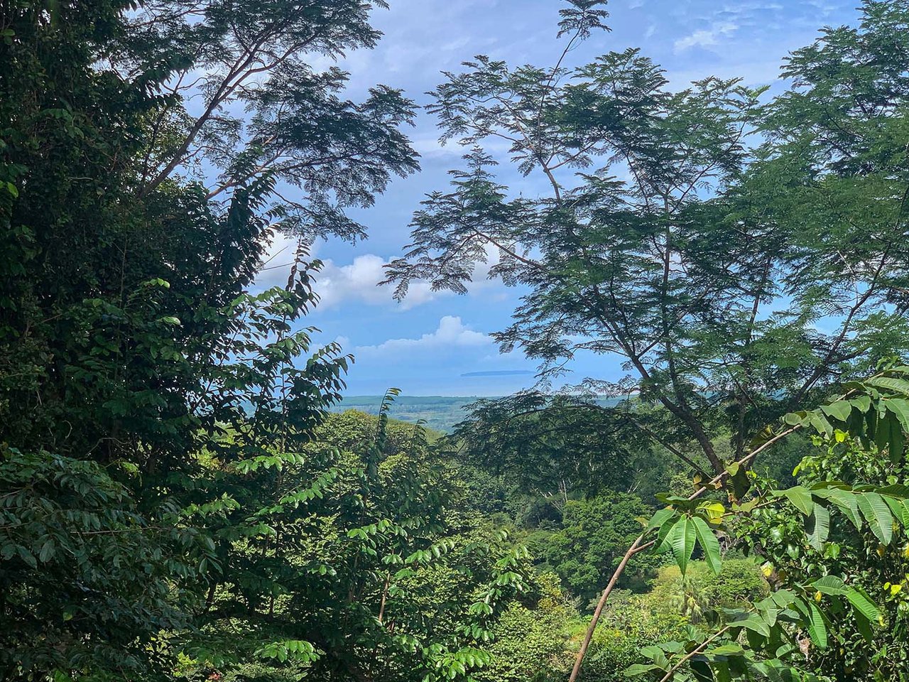 Farm In Chontales, 47 Acres With Ocean View And River