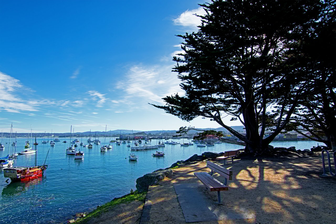 Monterey
