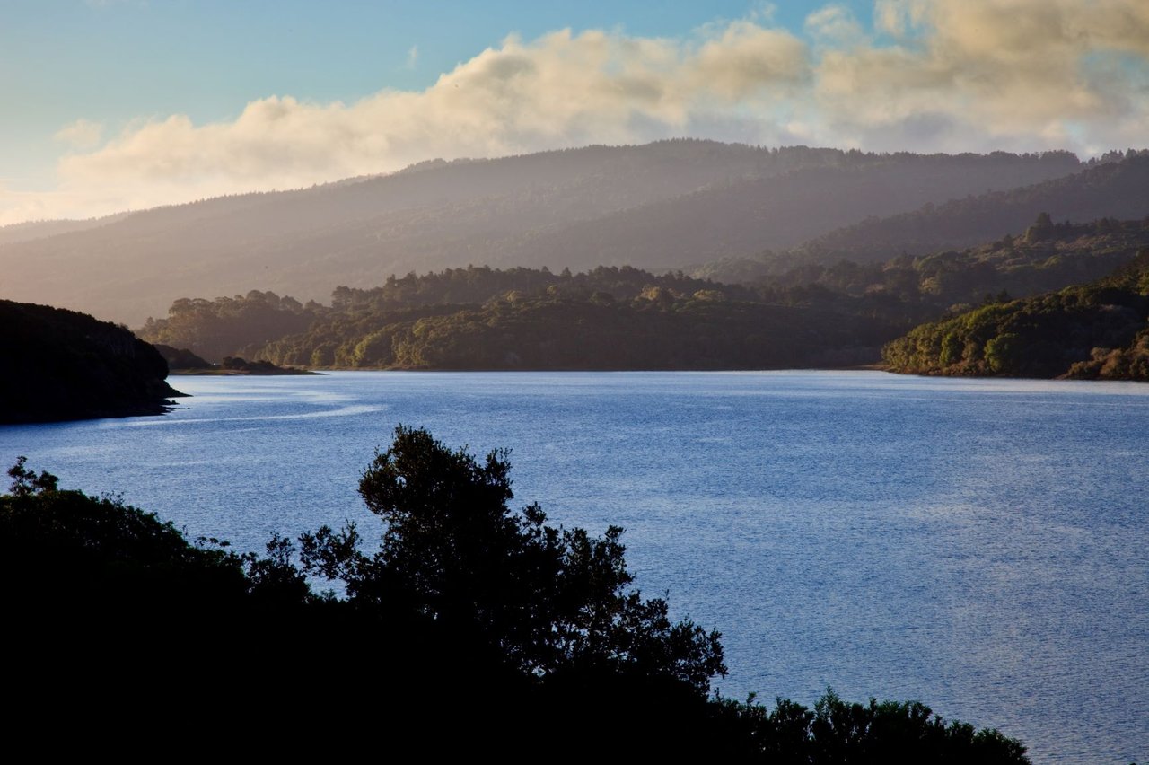 San Mateo Real Estate - Prices & Trends - Compass