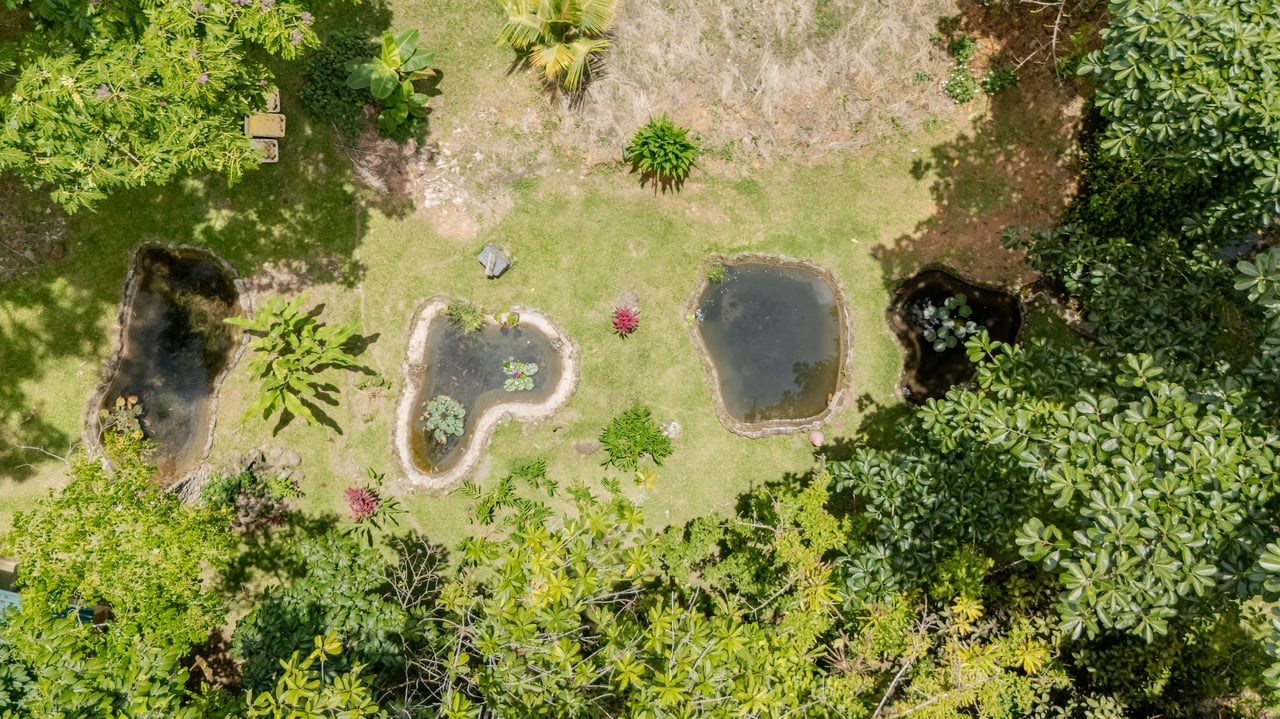 Self-Sustaining Mountain Estate for Sale in Costa Rica – 7.63 Acres with Waterfall, River & Multiple Homesites