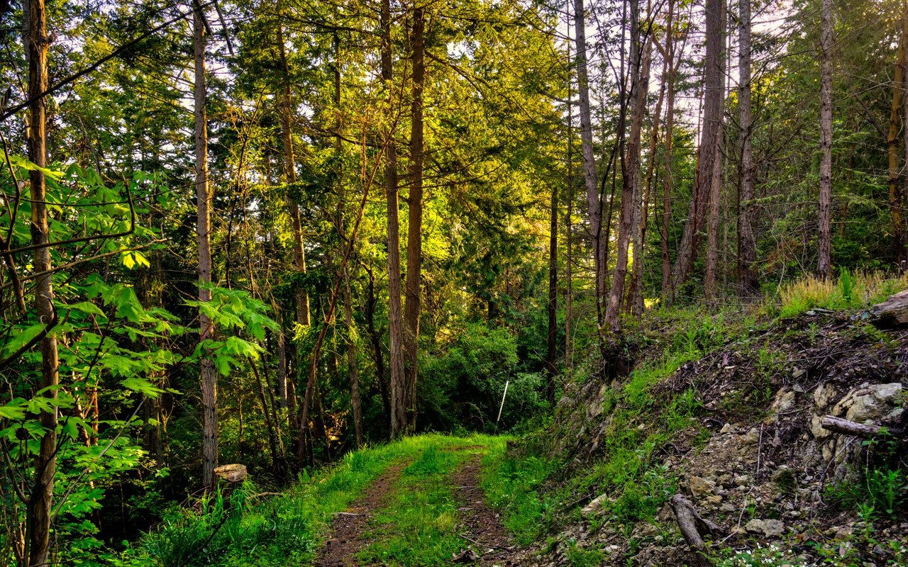 3 Tips for Making You Dream of Buying a Home Come True