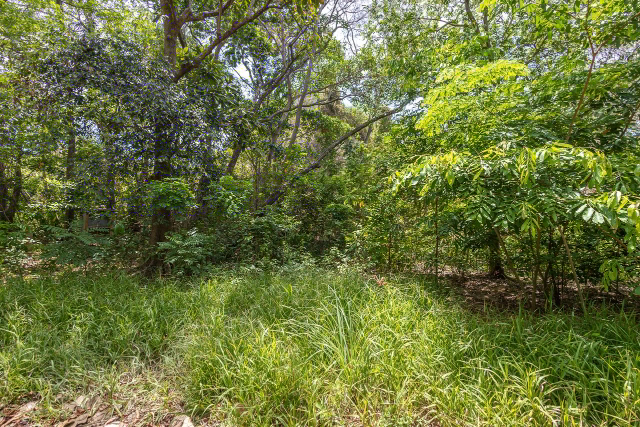 2.27 Acres close to Main Rd, Dixon Cove
