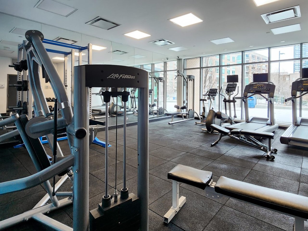 69 Lynn Williams St Unit: 204
