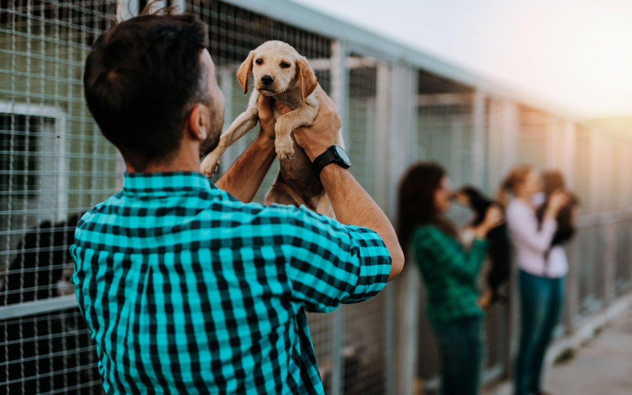 Tulare County Animal Services