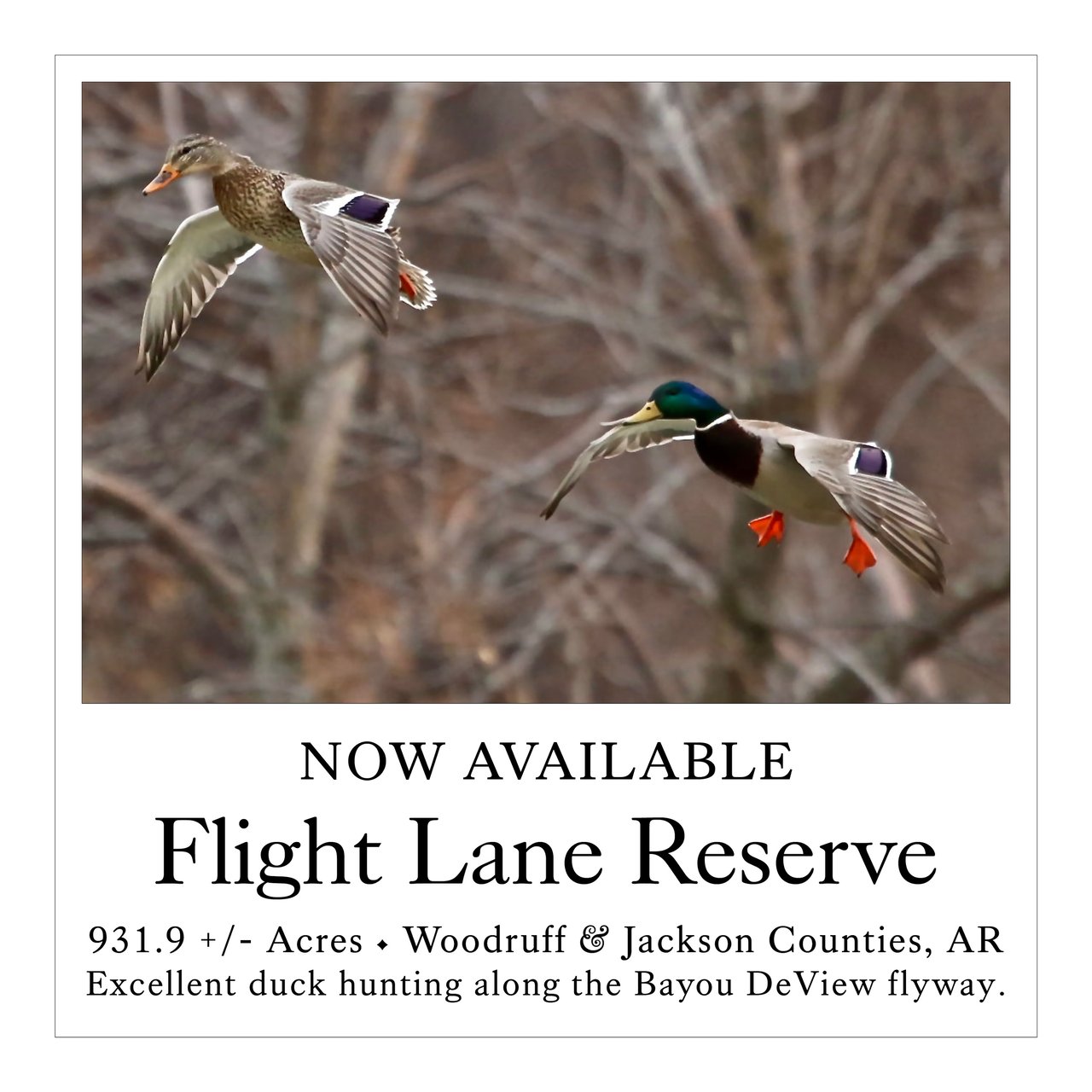 Flight Lane Reserve 