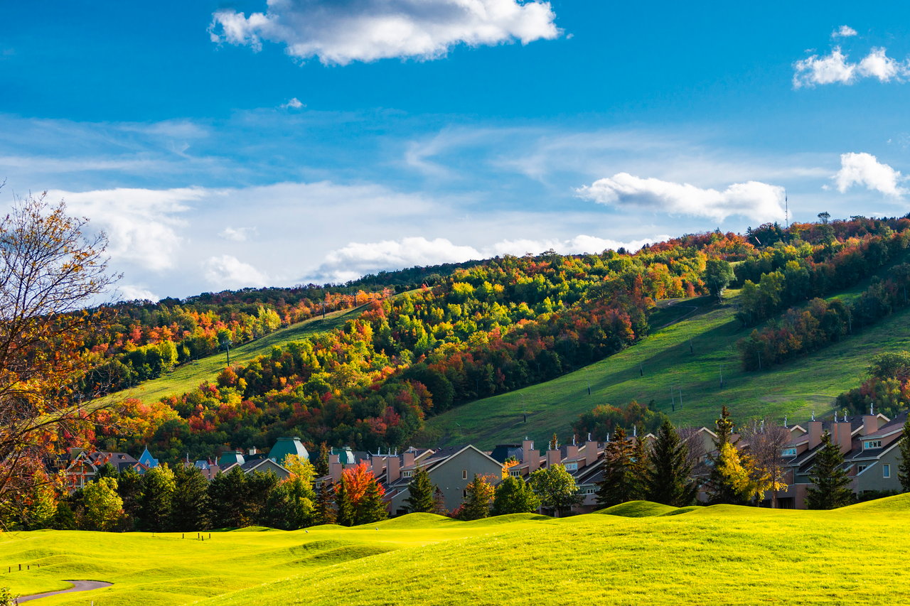 The Best Things to Do This Fall in Georgian Bay