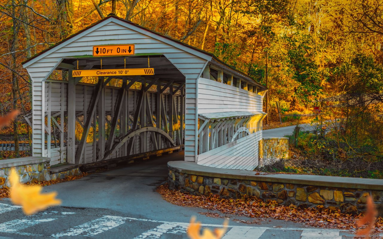Chester Springs