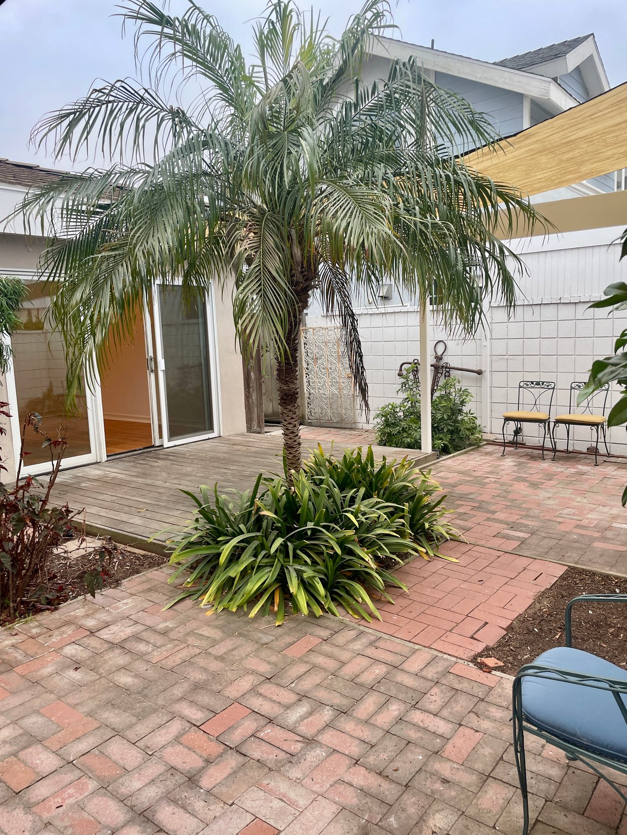 33931 Granada Dr.