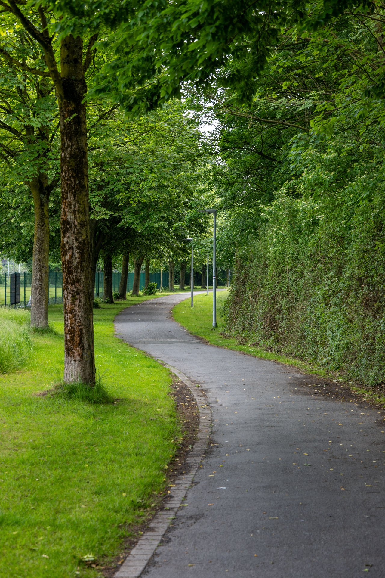 The Best Parks in Arlington, VA for Families