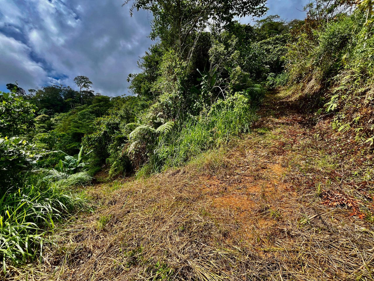 San Luis Ridgetop Ocean & Mountain View Property with Multiple Building Sites!