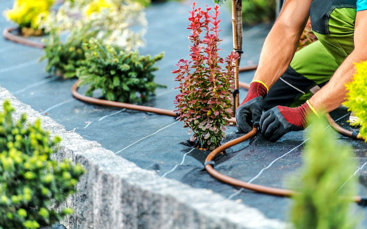 Transform Your Curb Appeal: Top Scottsdale Landscapers You Should Know